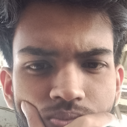 Ansh Sahay-Freelancer in siwan,India