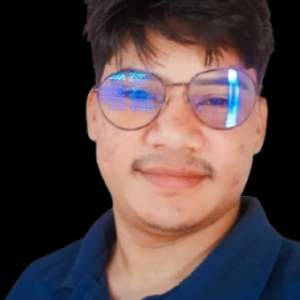 BhimSingh Saini-Freelancer in Jaipur,India