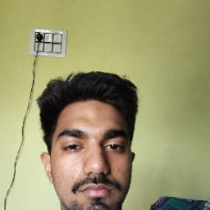 Sujal Manhas-Freelancer in Simbal Khola,India