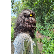 Tara-Freelancer in Ernakulam,India