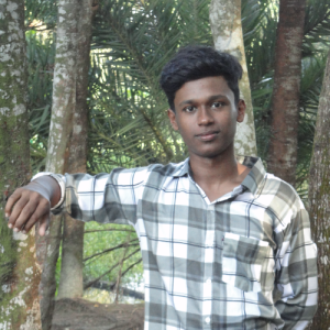 ariful islam sifat-Freelancer in Noakhali,Bangladesh