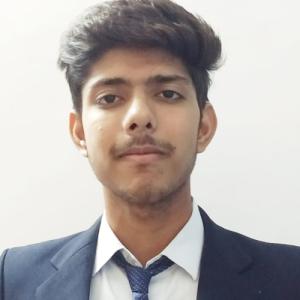 Aryan Dadhich-Freelancer in udaipur,India