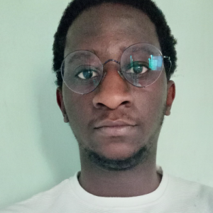 Noel Christopher-Freelancer in Nairobi,Kenya