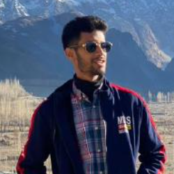 Muhammad Hassan-Freelancer in Islamabad,Pakistan