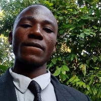 Real Investors-Freelancer in Mbeya,Tanzania