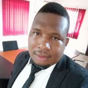 Everistus Olumese-Freelancer in Asaba,Nigeria