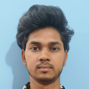 Injamul Hoque-Freelancer in Bangalore,India