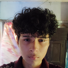 Nischal Sapkota-Freelancer in Koshi Haraicha,Nepal