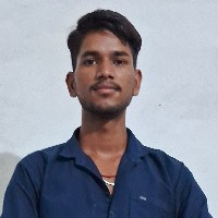 Manish Chauhan-Freelancer in mandsaur,India