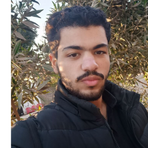 Waseem Azmy-Freelancer in Cairo,Egypt