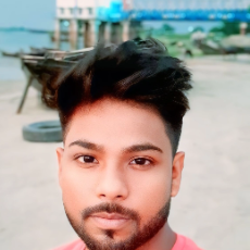 Md Ismail-Freelancer in Alinagar,India