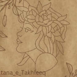 Maleeha Sultana-Freelancer in Faisalabad,Pakistan