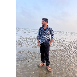 Alok Kr Singh-Freelancer in Howrah,India