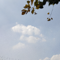 Vibha Shukla-Freelancer in New Delhi,India