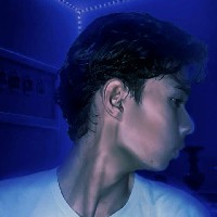 Himankajyoti Borah-Freelancer in Central Assam Division,India