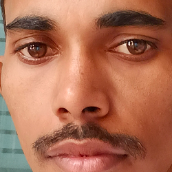 Ramjitendra Ahirwar-Freelancer in Satna,India