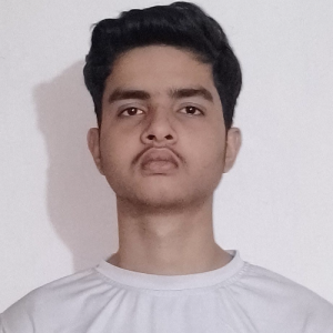Ronak Jha-Freelancer in New Delhi,India