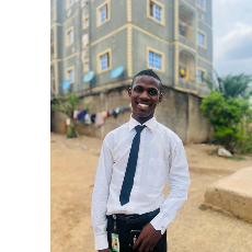 Chukwuma Ogbonna Sun-Freelancer in Enugu,Nigeria