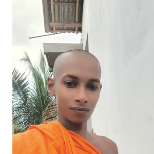 Thamarawewe Siridhamma thero-Freelancer in Medawachchiya,Sri Lanka