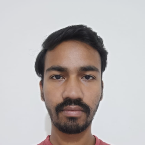 Faizan Mirza-Freelancer in Ratlam,India