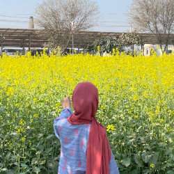 Ume Aimen-Freelancer in Islamabad,Pakistan