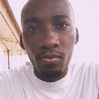 Salau Damilola-Freelancer in Ifo,Nigeria