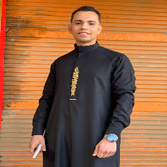 Ahmed Abdul-hakim Sayed-Freelancer in ,Egypt