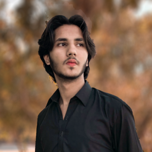 Malik Tahir-Freelancer in ,Pakistan