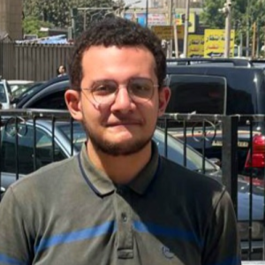 Alpha2005 Elhagary-Freelancer in Tala,Egypt