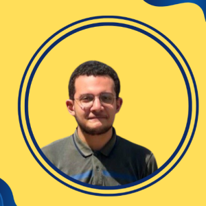 Abdelrhman Mohamed Attia-Freelancer in Tala,Egypt