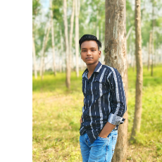 Rahul Shakya-Freelancer in Bisauli,India
