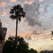 Sharanya K-Freelancer in Secunderabad,India
