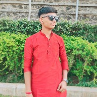 Tejas Ghogare-Freelancer in Pune Division,India