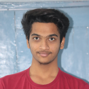 Dhiraj Kumar Sahu-Freelancer in Gunupur,India
