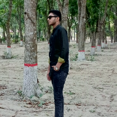 Arafat Rahman-Freelancer in Darshana,Bangladesh