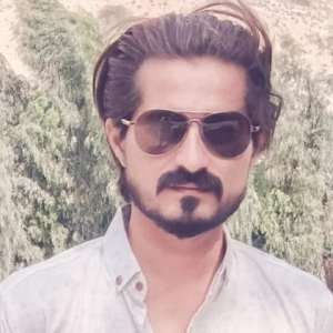 Syed Muhammad Awais-Freelancer in Dera Ismail khan,Pakistan