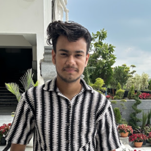 Himanshu Tenguriya-Freelancer in Noida,India