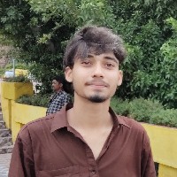 Nikhil Vishwakarma-Freelancer in Bhopal Division,India