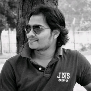 Praveen Anbalagan-Freelancer in Chennai,India