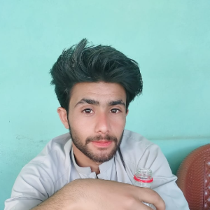 Idrees Khan-Freelancer in Gilgit baltistan,Pakistan
