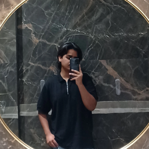 Faraz Hussain-Freelancer in Jhansi,India