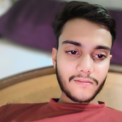 Karan Sikarwar-Freelancer in Bagchini,India