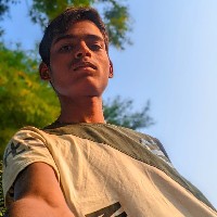 Piyush Lodhi.-Freelancer in Indore,India