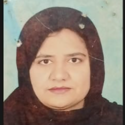Mehnaz Sial-Freelancer in Karachi,Pakistan