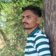 Sisodiya Hardik-Freelancer in Rajkot,India