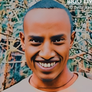 BEZA KASA GEBRESILASIE-Freelancer in ASELA,Ethiopia