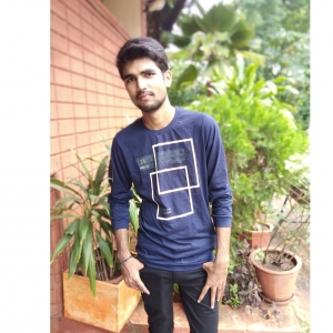 Manish Singh-Freelancer in Gandhinagar,India