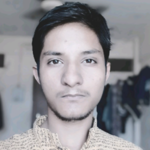 Sudhanshu Ghinmine-Freelancer in Pune,India