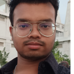 Krishna Goyal-Freelancer in Raipur,India