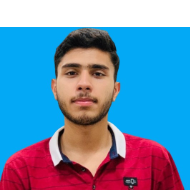 Syed M Hasnaat Ali Shah-Freelancer in Gujranwala,Pakistan